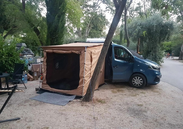 Renault Trafic cena 135300 przebieg: 41000, rok produkcji 2019 z Dębno małe 56